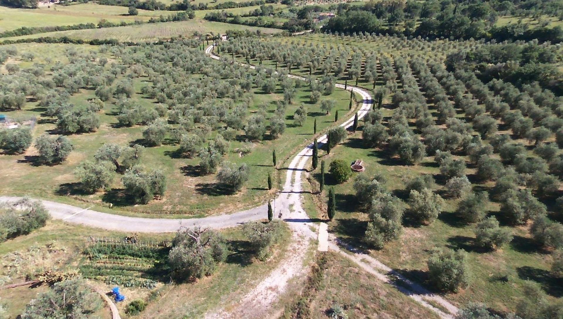 Casetta Dell'Uliveto Macchiascandona Luaran gambar