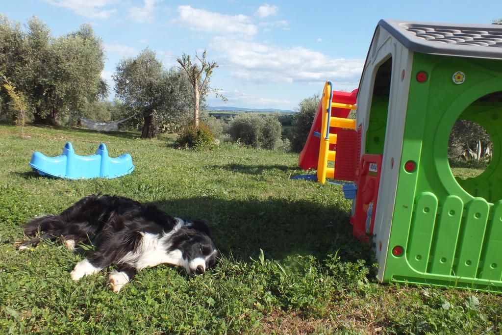 Casetta Dell'Uliveto Macchiascandona Luaran gambar